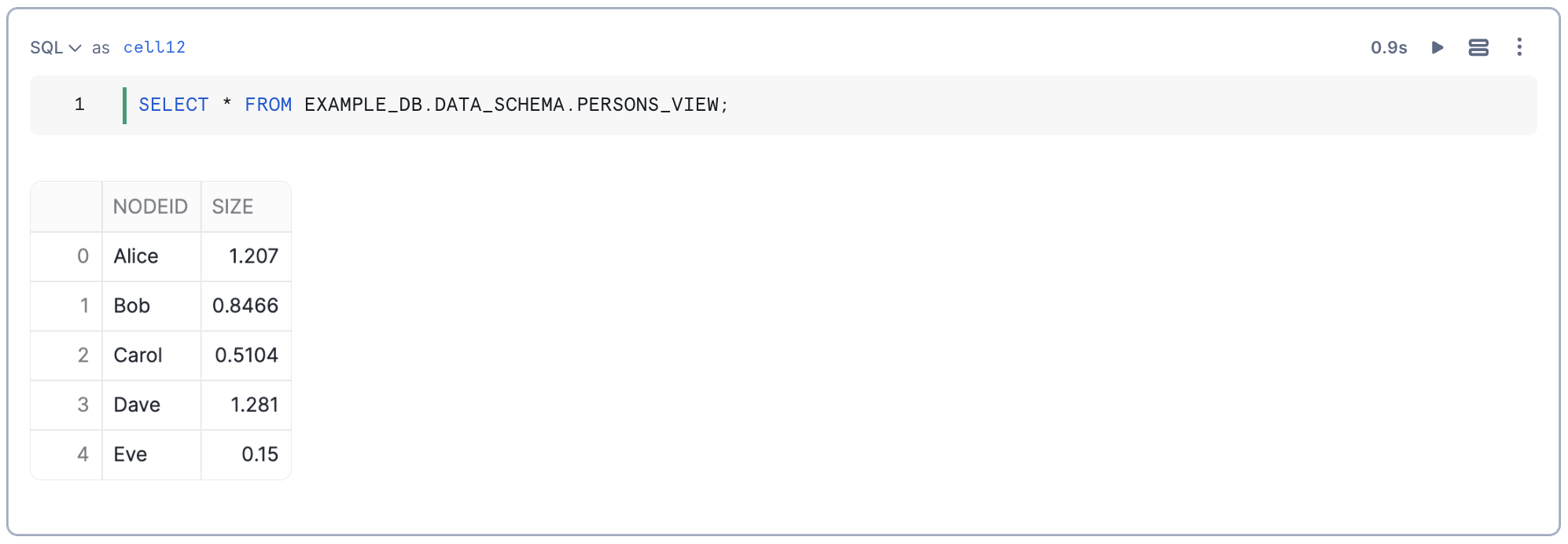 Inspecting 'PERSONS_VIEW'